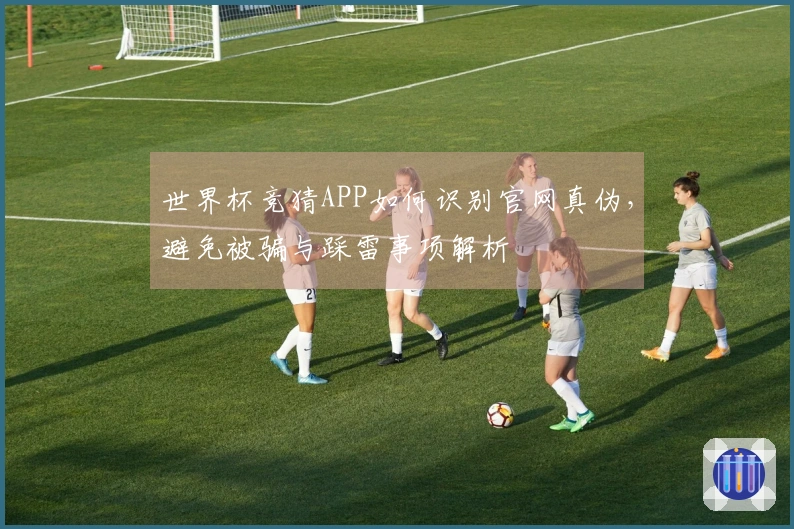 世界杯竞猜APP如何识别官网真伪，避免被骗与踩雷事项解析